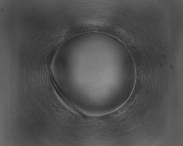X0000050751061200506161556