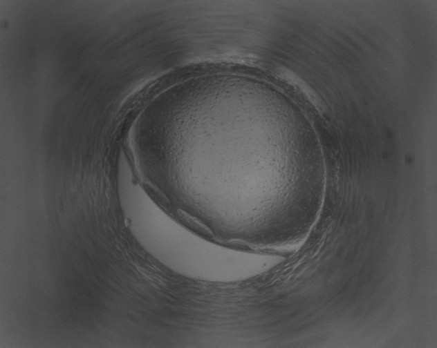 X0000050751064200506161556