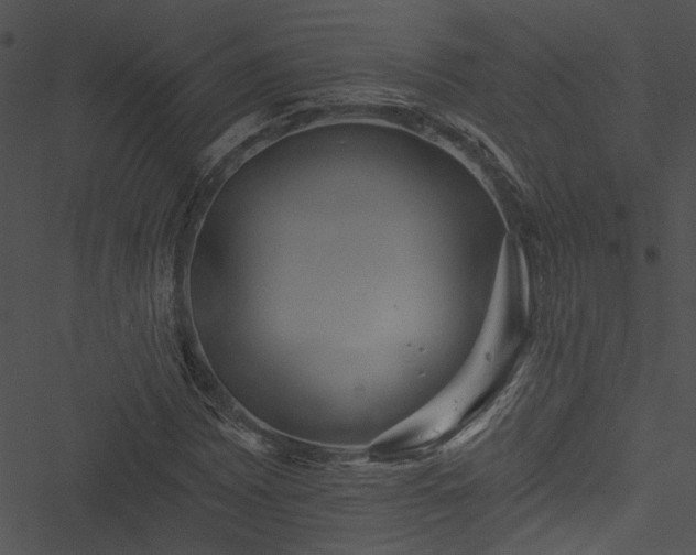 X0000050751065200506161556