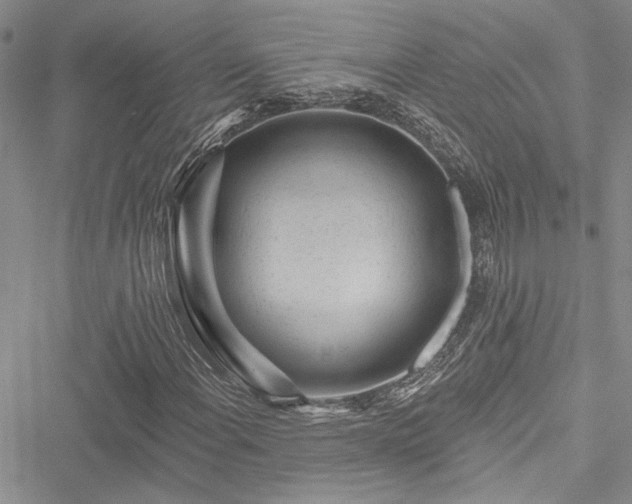 X0000050751108200506161554