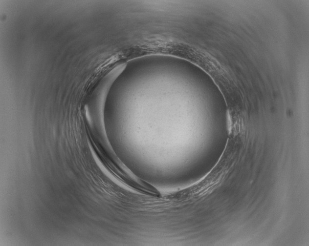 X0000050751156200506161554