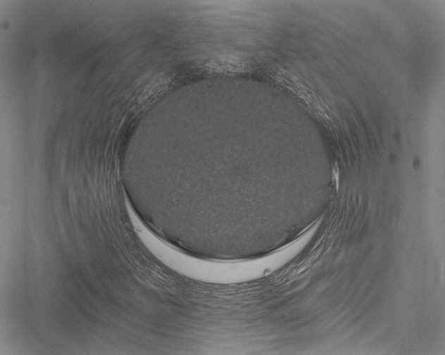 X0000050751251200506161553