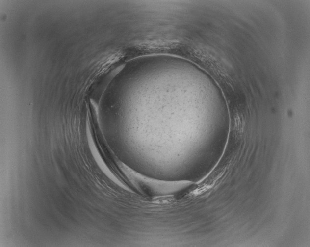 X0000050751300200506161551