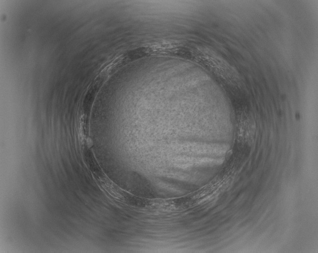 X0000050751346200506161551