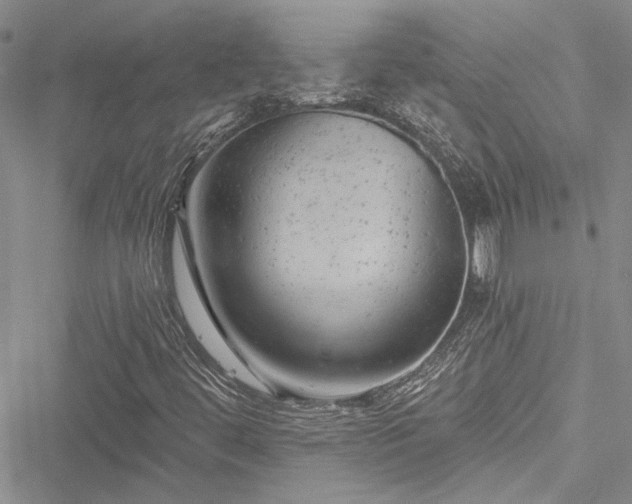 X0000050751444200506161550