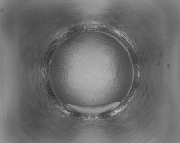 X0000050751445200506161550