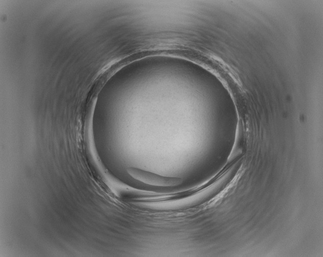 X0000050751449200506161550