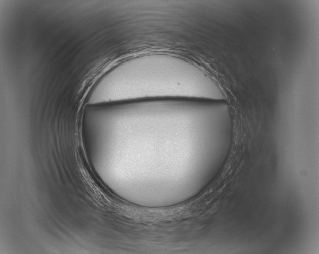 X0000051240002200506170828