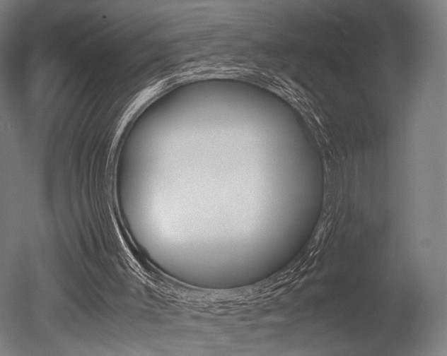 X0000051240003200506170828