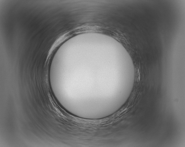 X0000051240004200506170828
