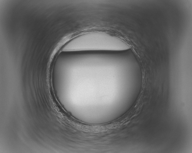 X0000051240006200506170828