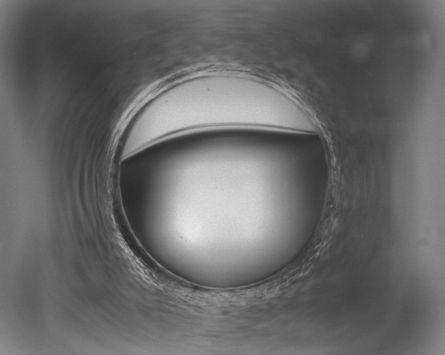 X0000051240007200506170828