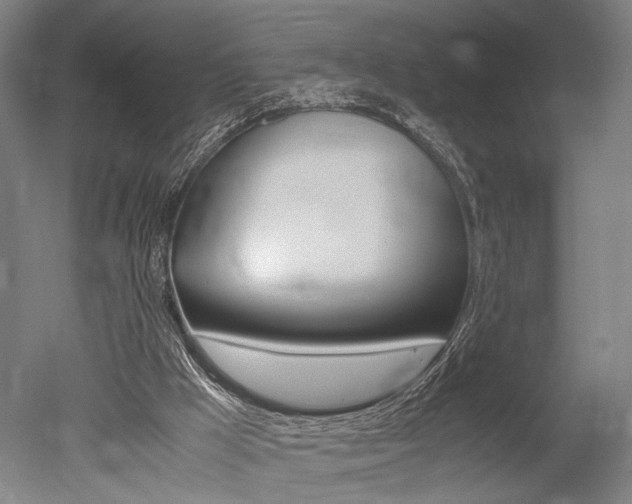 X0000051240009200506170828