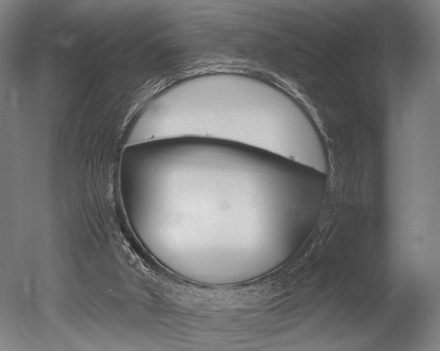 X0000051240010200506170828