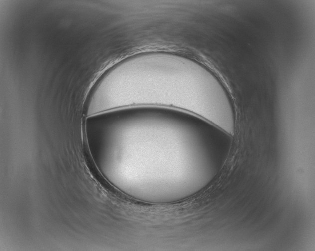 X0000051240011200506170828