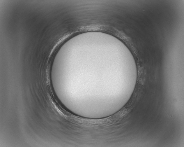 X0000051240012200506170828