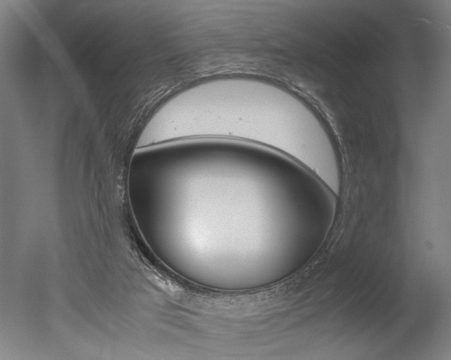 X0000051240017200506170828