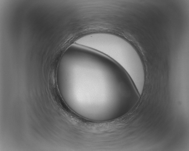 X0000051240021200506170827