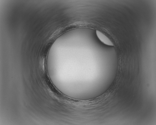 X0000051240024200506170827