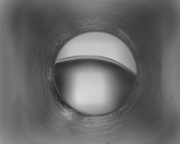 X0000051240025200506170827