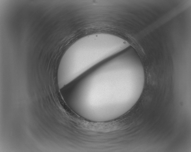 X0000051240026200506170827