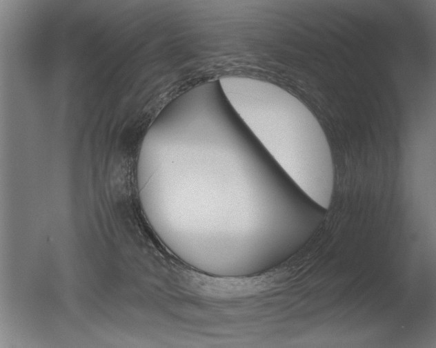 X0000051240034200506170827