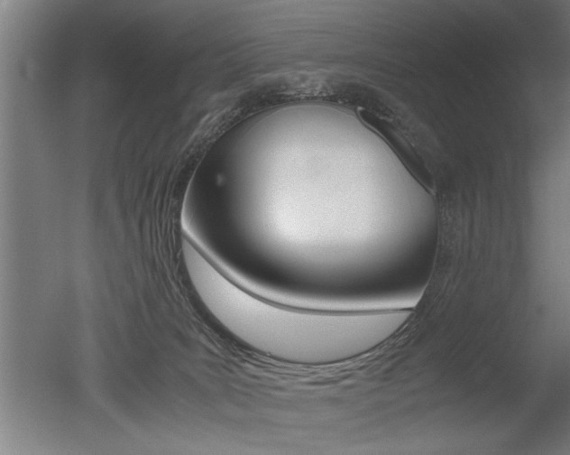 X0000051240035200506170827