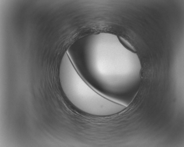 X0000051240040200506170827
