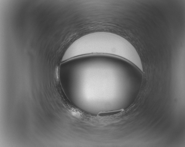 X0000051240041200506170827
