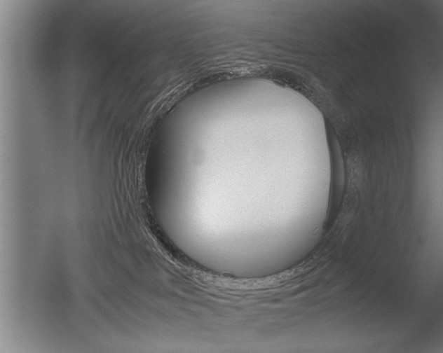 X0000051240043200506170827