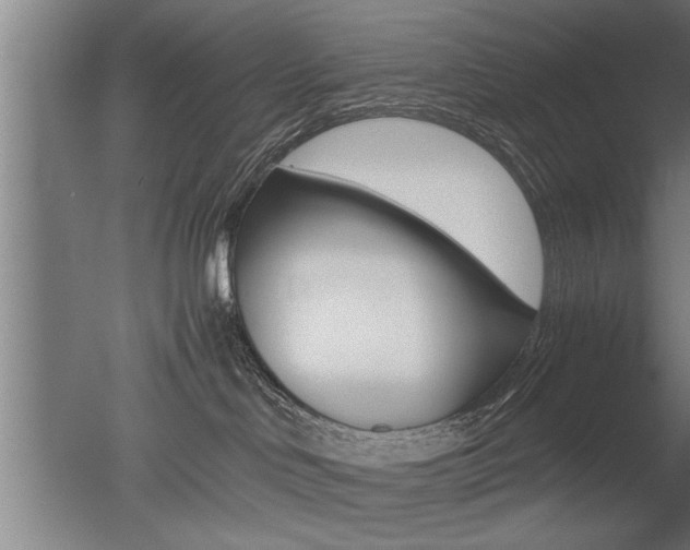X0000051240046200506170827