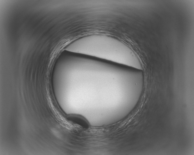 X0000051240049200506170826