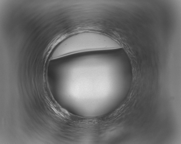 X0000051240050200506170826
