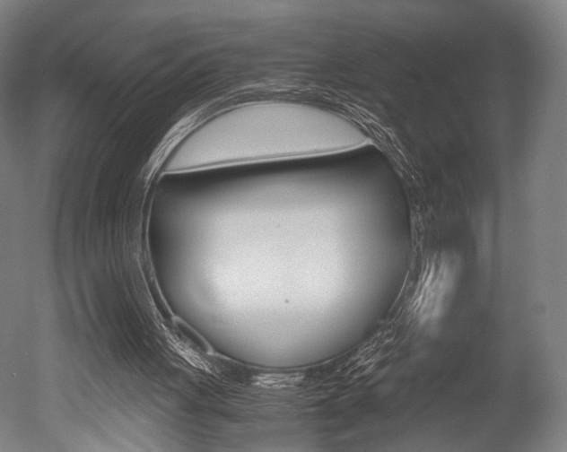 X0000051240051200506170826