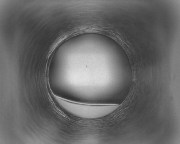 X0000051240052200506170826