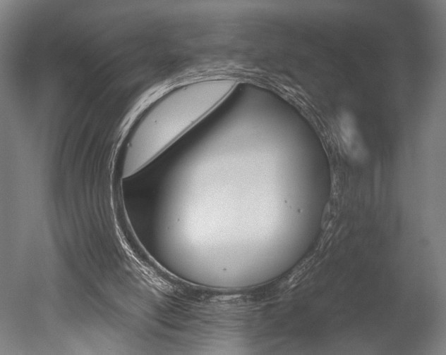 X0000051240054200506170826
