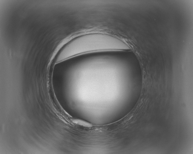 X0000051240056200506170826