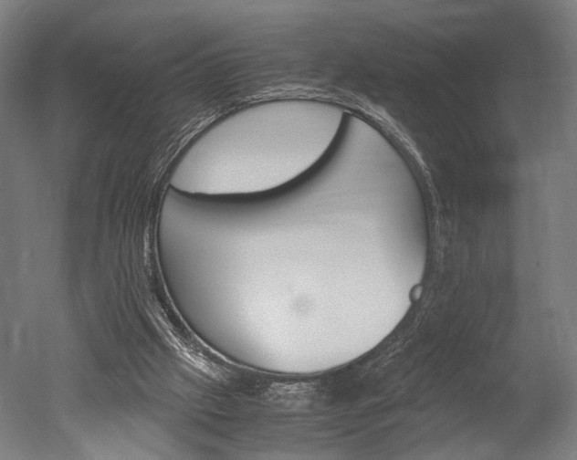 X0000051240057200506170826