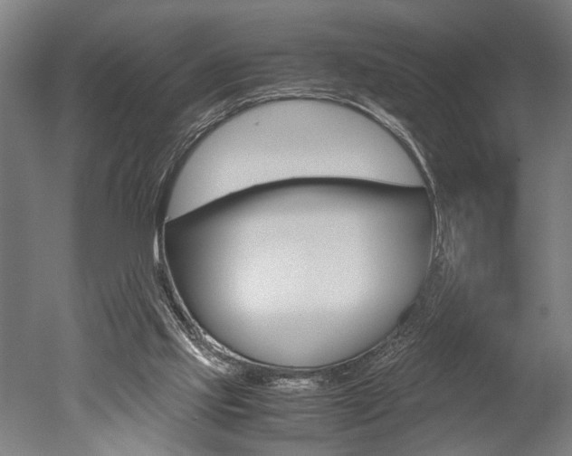 X0000051240061200506170826