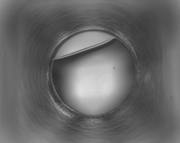 X0000051240063200506170826