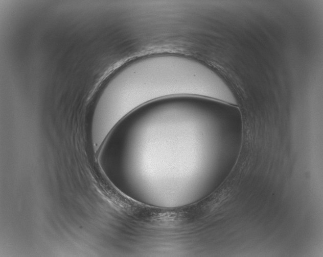 X0000051240064200506170826