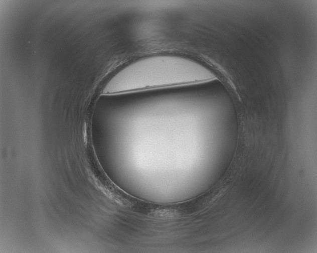 X0000051240067200506170826