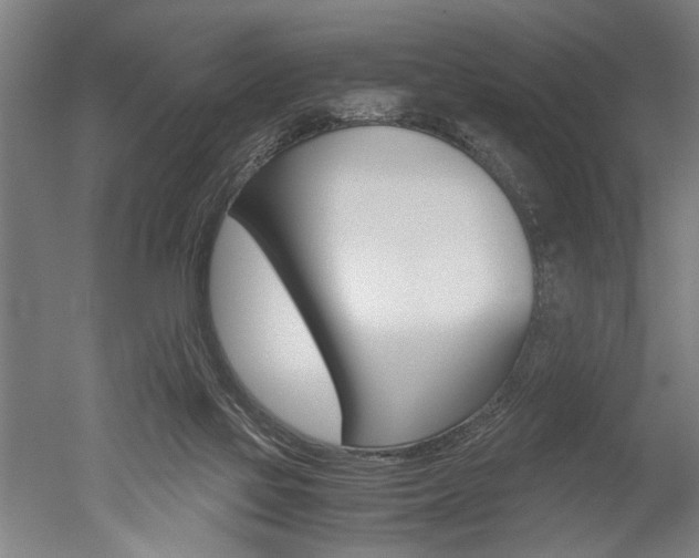 X0000051240069200506170827