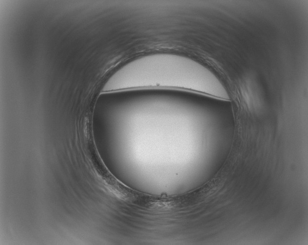 X0000051240071200506170827