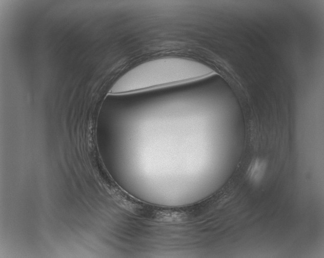 X0000051240073200506170827