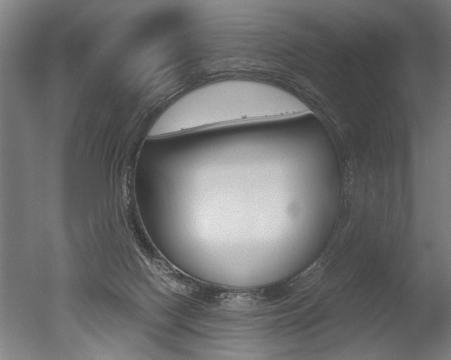 X0000051240074200506170827