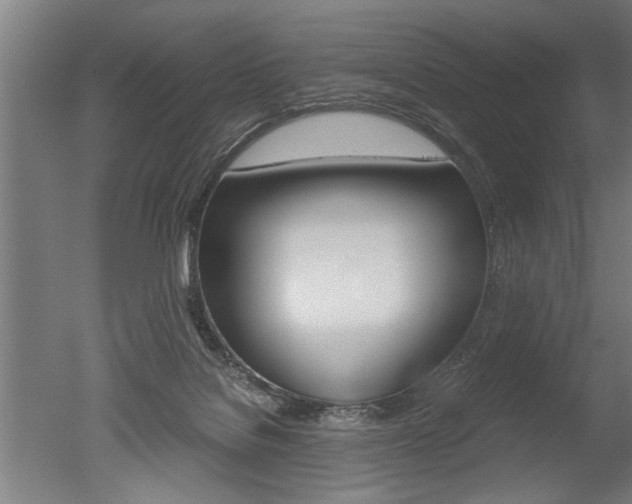 X0000051240076200506170827