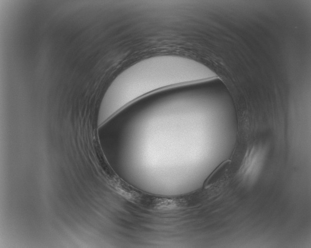X0000051240083200506170827