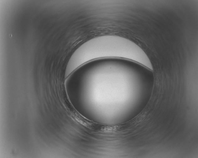 X0000051240084200506170827