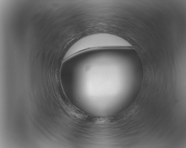 X0000051240088200506170827